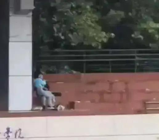 红学院吃瓜视频,揭秘校园生活幕后趣闻