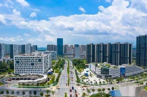 黄埔知识城吃瓜,揭秘网红打卡地的吃瓜秘境