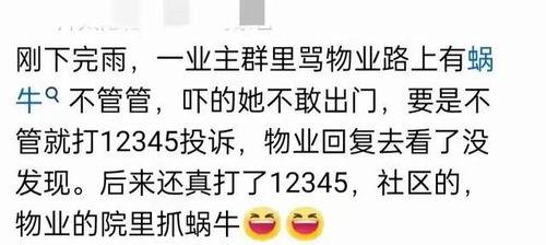 吃瓜群都没了,吃瓜群消失背后的社会现象解析