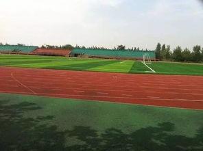 汕职操场吃瓜,一场别开生面的“吃瓜”盛宴