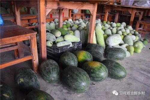 槐泗吃瓜,夏日吃瓜盛宴，邻里共享欢乐时光