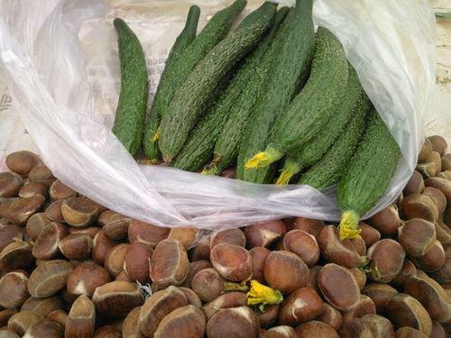 小黄花吃瓜,小黄花与瓜果奇遇记