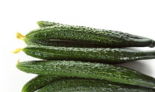 小黄花吃瓜,小黄花与瓜果奇遇记