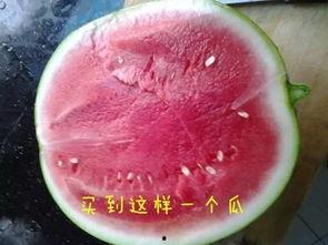 吃花密瓜嘴里起泡,揭秘吃花密瓜嘴泡之谜