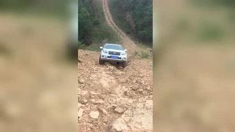 前排吃瓜侃影视哥斯拉,前排吃瓜，揭秘影视巨兽的幕后故事