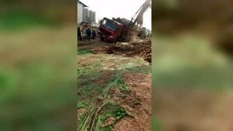 前排吃瓜侃影视哥斯拉,前排吃瓜，揭秘影视巨兽的幕后故事