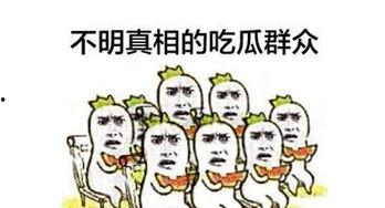 细致吃瓜群众怎么形容,深度剖析热点事件背后的真相