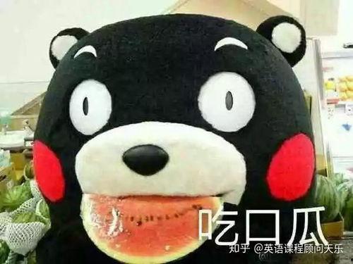 细致吃瓜群众怎么形容,深度剖析热点事件背后的真相