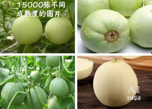 厚福吃瓜,揭秘娱乐圈幕后故事