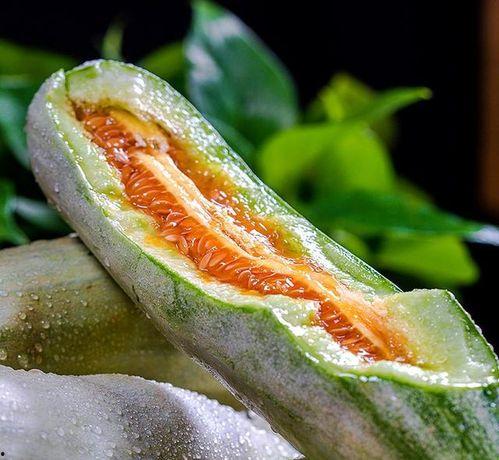 头茬瓜怎么吃,探索初夏时令佳肴的烹饪艺术