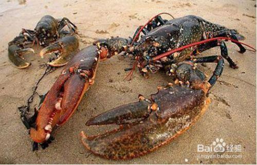 福建渔民前排吃瓜,见证海上丰收盛景