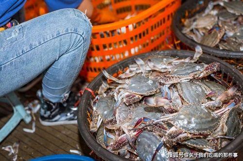 福建渔民前排吃瓜,见证海上丰收盛景