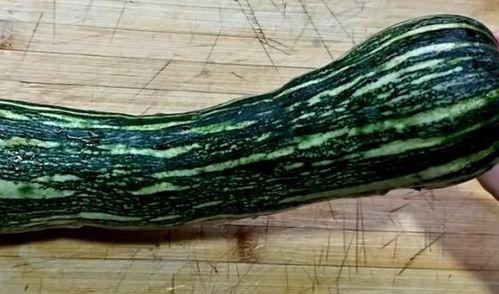 扶手瓜可以蒸了吃吗,探索美味与健康的完美结合