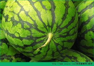 吃瓜会发热吗,揭秘吃瓜为何会发热