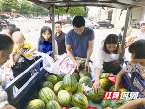 宁乡吃瓜网,揭秘当地美食，畅享宁乡风味盛宴