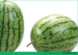 吃瓢瓜过敏怎办,紧急处理与预防措施指南