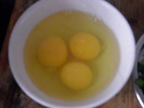 吃虾可以吃茭瓜吗,美味搭配的饮食探索