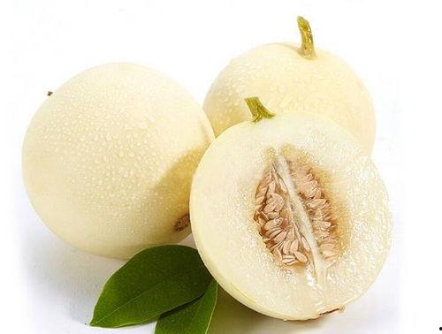 天天吃蜜瓜,天天享受甜蜜滋味