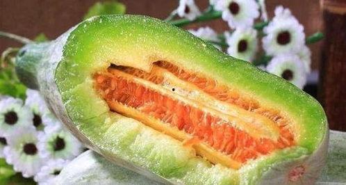 天天吃蜜瓜,天天享受甜蜜滋味