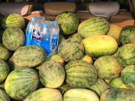 临泉隔离点吃瓜,临泉隔离点里的“瓜田”奇遇记