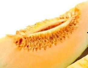 保胎可以吃蜜瓜吗,孕妇保胎期间的理想水果选择？