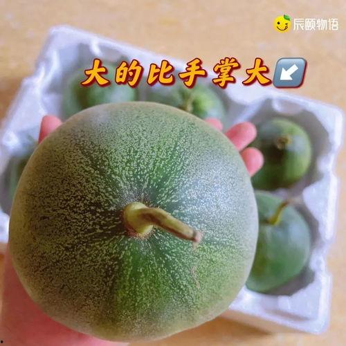 吃石瓜是不吃,揭秘为何不能与吃石瓜相提并论