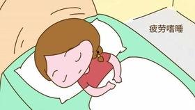 贫血吃猪瓜,贫血患者的天然补血佳品