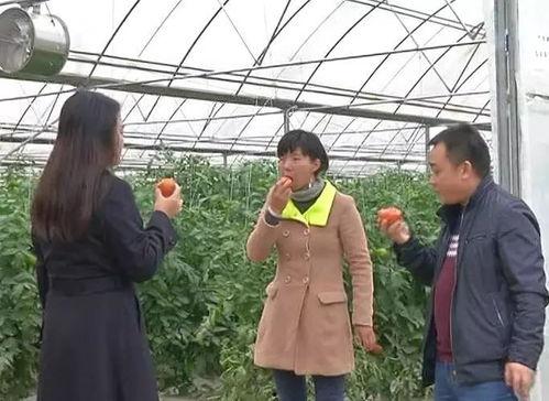 吃瓜群众王铁牛视频,揭秘娱乐圈幕后故事