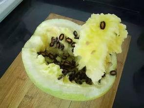 籽瓜几月吃,夏季美味新选择