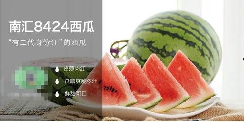 带你吃瓜全集鉴定