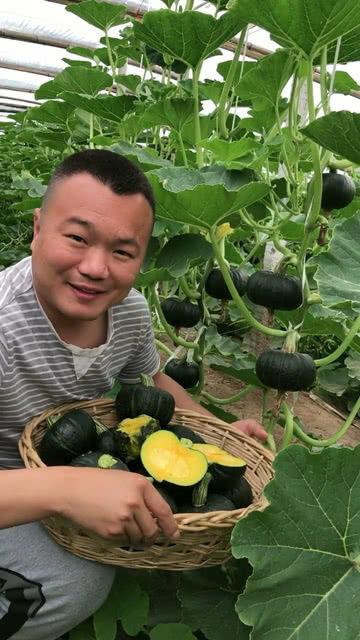 新疆贝贝吃瓜视频,一场别开生面的夏日盛宴