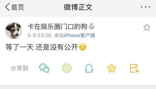 吃瓜爆料关键词,吃瓜爆料背后的真相大揭秘