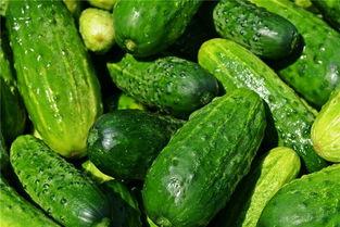 梦见在瓜地里吃瓜,瓜地寻味，瓜果飘香