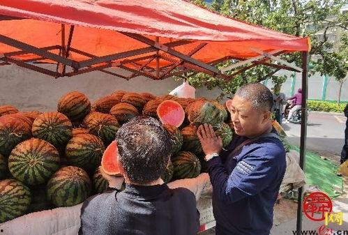 济南吃瓜姚家,吃瓜姚家，探寻美食与文化的交汇之地