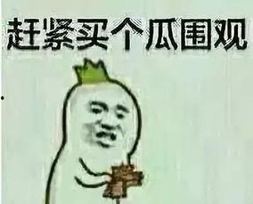 吃瓜群众和吃瓜人的区别,揭秘网络围观者的不同面貌