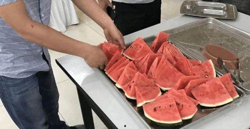 被子吃被子瓜,探索被子吃被子瓜的奇妙世界