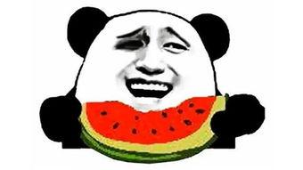 51永久吃瓜回家