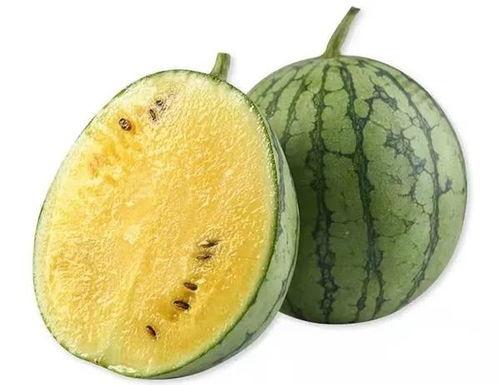 全员板凳吃瓜,一场别开生面的集体盛宴