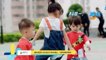 全员板凳吃瓜,一场别开生面的集体盛宴