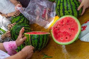 吃瓜视频国外,揭秘国外短视频平台的趣味与争议