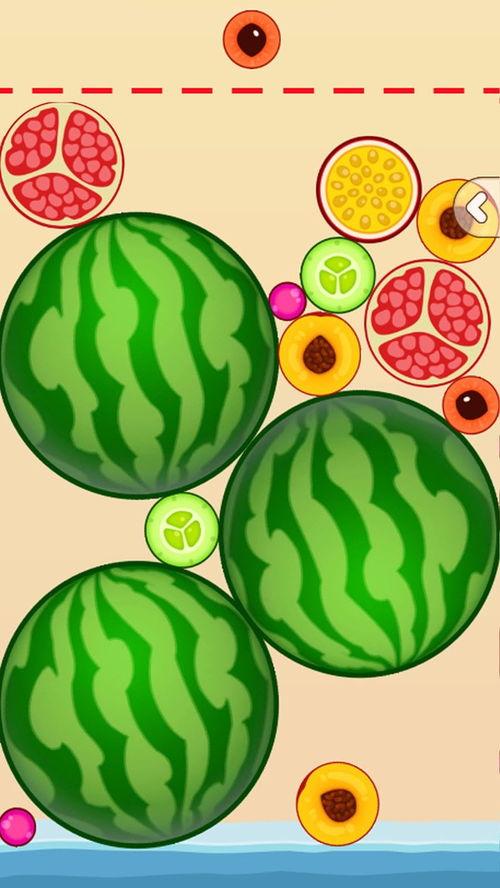 一起吃瓜游戏,一起吃瓜游戏的欢乐时光