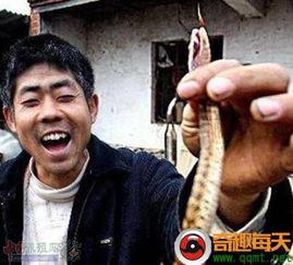 老爷爷吃毒蛇瓜,老爷爷勇闯毒蛇瓜奇遇记