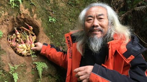 老爷爷吃毒蛇瓜,老爷爷勇闯毒蛇瓜奇遇记