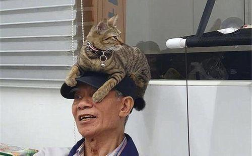 老爷爷吃毒蛇瓜,老爷爷勇闯毒蛇瓜奇遇记