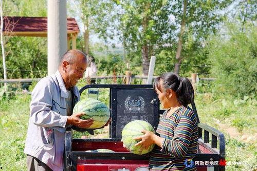 新疆和田吃瓜群众