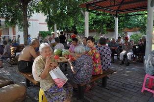 吃瓜在凉亭,夏日清凉时光