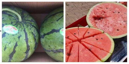 吃学习资料吃瓜