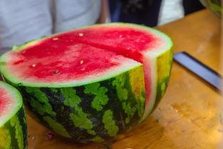 哈尔滨大学教室吃瓜,哈尔滨大学教室里的“瓜田”奇遇记