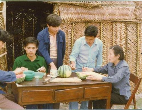 林馨蕊同学吃瓜,揭秘校园里的“瓜田”趣事