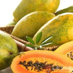 系瓜怎么吃,解锁传统美食新境界